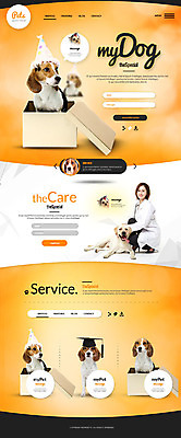 PSD 템플릿 여자 웹템플릿 학사모 한명 성인 사람없음 반려동물 상자 홈페이지 홈페이지시안 고깔모자 한국인 강아지 수의사 반려 랜딩페이지 이미지템플릿 동물 모자_잡화 1 졸업 사람 동양인 의사 개 파일형식