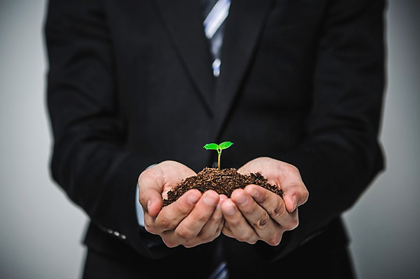 포토 JPG 손 남자 들기 정장 성인 신체부위 새싹 환경 희망 흙 봄 비전 모종 국내포토 식물 옷 계절 감정 모션 사람 파일형식