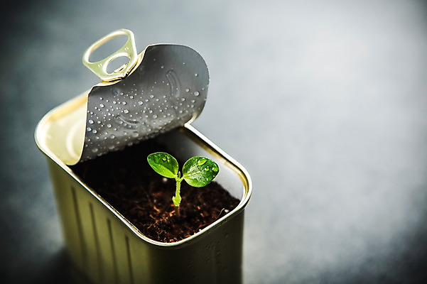 포토 JPG 사람없음 새싹 환경 희망 흙 봄 캔 이슬 비전 모종 국내포토 식물 계절 감정 파일형식