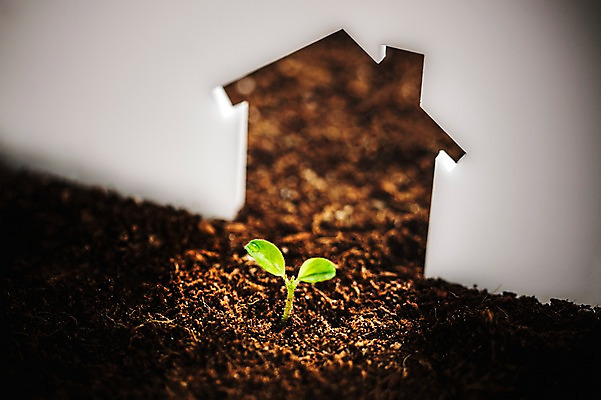 포토 JPG 부동산 사람없음 새싹 환경 희망 흙 봄 이슬 비전 모종 집모양 국내포토 모양 식물 계절 감정 재산 파일형식