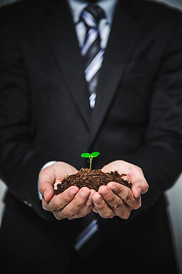 포토 JPG 손 남자 들기 정장 성인 신체부위 새싹 환경 희망 흙 봄 비전 모종 국내포토 식물 옷 계절 감정 모션 사람 파일형식