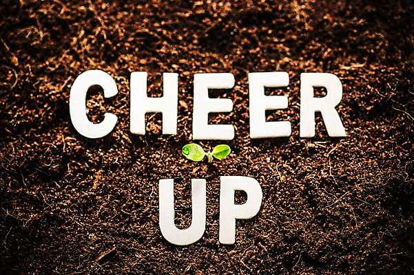 포토 JPG 영어 응원 사람없음 새싹 환경 희망 흙 봄 이슬 비전 모종 국내포토 식물 문자 계절 감정 파일형식