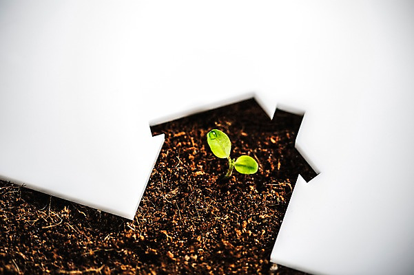 포토 JPG 부동산 사람없음 새싹 환경 희망 흙 봄 이슬 비전 모종 집모양 국내포토 모양 식물 계절 감정 재산 파일형식