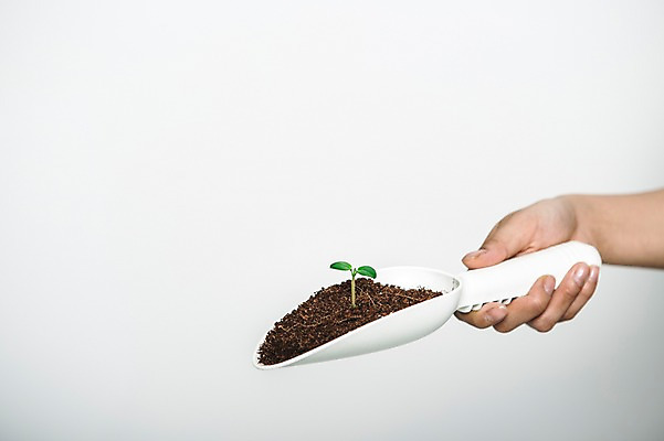 포토 JPG 손 들기 신체부위 새싹 환경 희망 흙 봄 모종삽 비전 모종 국내포토 식물 계절 감정 모션 사람 삽 파일형식