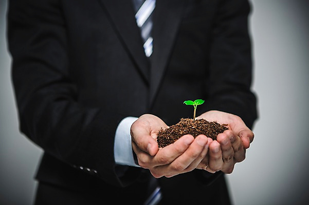 포토 JPG 손 남자 들기 정장 성인 신체부위 새싹 환경 희망 흙 봄 비전 모종 국내포토 식물 옷 계절 감정 모션 사람 파일형식