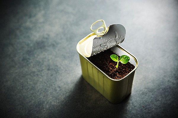 포토 JPG 사람없음 새싹 환경 희망 흙 봄 캔 이슬 비전 모종 국내포토 식물 계절 감정 파일형식