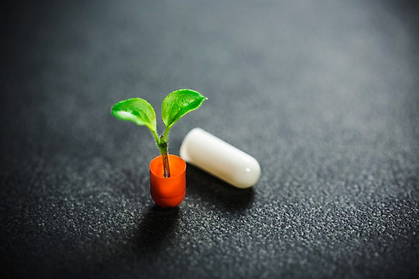 포토 JPG 사람없음 알약 새싹 환경 희망 봄 비전 모종 국내포토 식물 계절 감정 약 파일형식