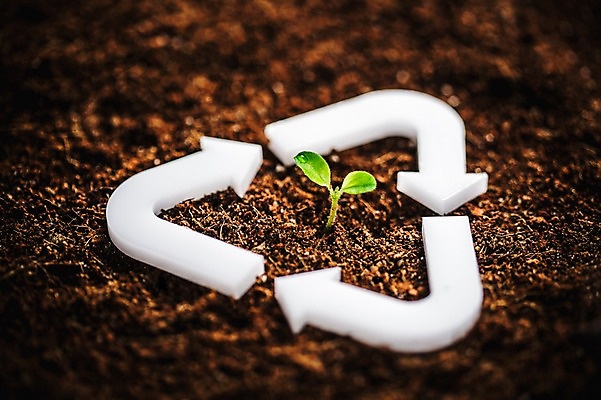 포토 JPG 화살표 사람없음 새싹 환경 희망 흙 봄 재활용 이슬 비전 모종 국내포토 식물 계절 감정 친환경 파일형식