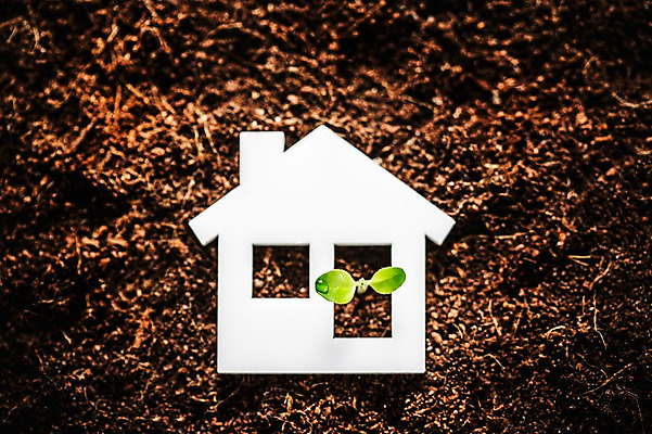 포토 JPG 부동산 사람없음 새싹 환경 희망 흙 봄 이슬 비전 모종 집모양 국내포토 모양 식물 계절 감정 재산 파일형식