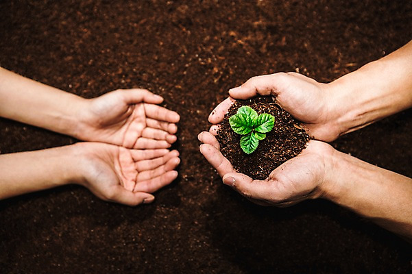 포토 JPG 손 들기 신체부위 새싹 환경 희망 흙 봄 주기 비전 모종 국내포토 식물 계절 감정 모션 사람 파일형식