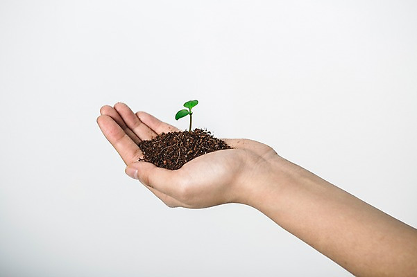 포토 JPG 손 들기 신체부위 새싹 환경 희망 흙 봄 비전 모종 국내포토 식물 계절 감정 모션 사람 파일형식