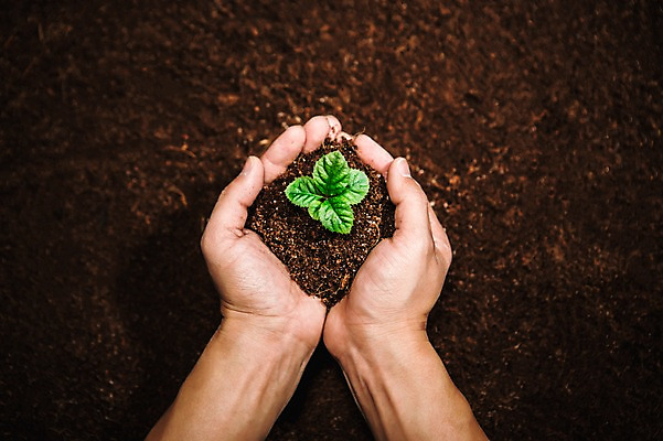 포토 JPG 손 들기 신체부위 하이앵글 새싹 환경 희망 흙 봄 비전 모종 국내포토 식물 계절 감정 뷰포인트 모션 사람 파일형식