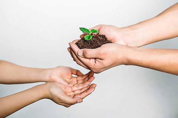 포토 JPG 손 들기 신체부위 새싹 환경 희망 흙 봄 주기 비전 모종 국내포토 식물 계절 감정 모션 사람 파일형식