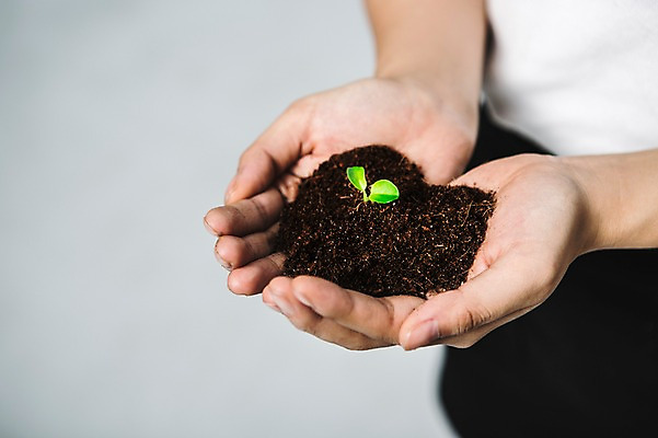 포토 JPG 손 들기 신체부위 새싹 환경 희망 흙 봄 비전 모종 국내포토 식물 계절 감정 모션 사람 파일형식