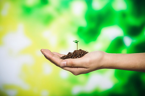 포토 JPG 손 들기 아웃포커스 신체부위 새싹 환경 희망 흙 봄 비전 모종 국내포토 식물 계절 감정 모션 촬영기법 사람 파일형식