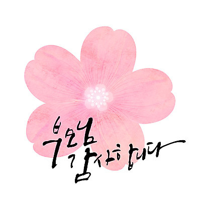 문자 꽃잎 일러스트 캘리그라피 한글 사람없음 부모 어버이날 감사 가정의달 국내일러스트 AI파일 카드프레임 기념일 꽃 감정 가족 프레임 5월 파일형식 벡터