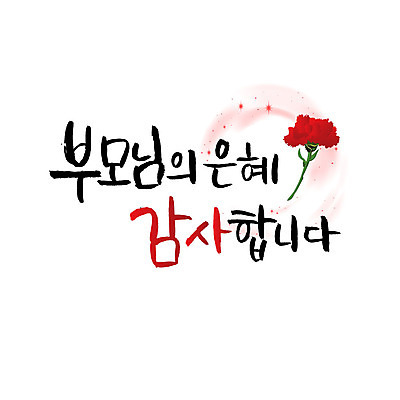 문자 일러스트 캘리그라피 한글 사람없음 부모 어버이날 카네이션 감사 가정의달 은혜 국내일러스트 AI파일 카드프레임 기념일 꽃 감정 가족 프레임 5월 파일형식 벡터