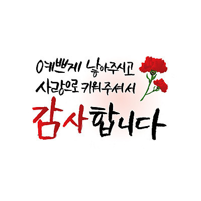 문자 일러스트 캘리그라피 사랑 한글 사람없음 어버이날 카네이션 감사 가정의달 국내일러스트 AI파일 카드프레임 기념일 꽃 감정 프레임 5월 파일형식 벡터