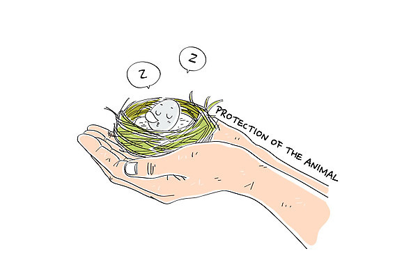 동물 선 일러스트 신체부위 둥지 동물보호 새알 국내일러스트 AI파일 사람 사회이슈 파일형식 벡터