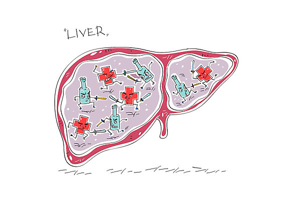 일러스트 술병 사람없음 칼 장기 간 칼싸움 국내일러스트 AI파일 신체 병_용기 주류 장기_의학 싸움 파일형식 벡터