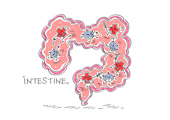 일러스트 사람없음 칼 장기 대장 박테리아 칼싸움 국내일러스트 AI파일 신체 의학 장기_의학 싸움 파일형식 벡터