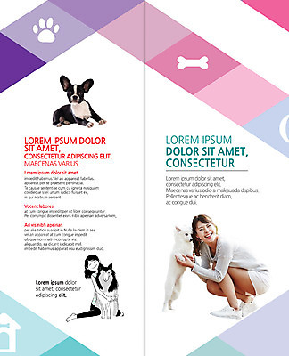 전신 PSD 템플릿 편집 표지디자인 북디자인 출판디자인 여자 내지 리플렛 2단접지 북커버 웃음 앉기 팜플렛 20대 성인 두명 한국인 개발자국 개뼈다귀 반려 스피치 이미지템플릿 모션 표정 사람 동양인 청년 발자국 애견간식 파일형식