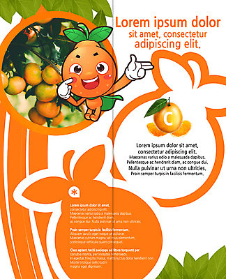 PSD 템플릿 편집 캐릭터 표지디자인 북디자인 출판디자인 열매 내지 음식 리플렛 2단접지 북커버 나뭇잎 귤 팜플렛 사람없음 과일캐릭터 귤나무 이미지템플릿 나무 식물 잎 과일 파일형식