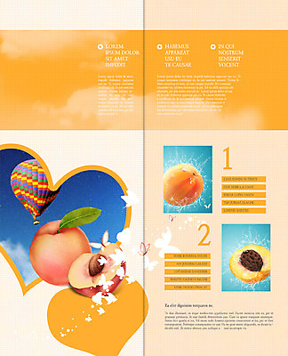 PSD 구름 템플릿 편집 표지디자인 북디자인 출판디자인 내지 음식 리플렛 나비 2단접지 북커버 하늘 단면 팜플렛 사람없음 물 열기구 하트 신선 복숭아 복숭아씨 이미지템플릿 자연요소 모양 곤충 과일 항공교통 씨앗 파일형식