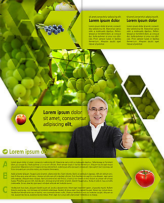 PSD 템플릿 편집 표지디자인 북디자인 웰빙 출판디자인 열매 노년 남자 내지 안경 음식 리플렛 토마토 2단접지 북커버 포도 건강 한명 웃음 손짓 팜플렛 상반신 한국인 최고 60대 사과 청포도 블루베리 이미지템플릿 식물 1 잡화 채소 과일 모션 표정 사람 동양인 성인 파일형식