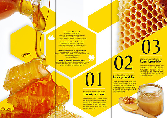 PSD 동물 템플릿 편집 표지디자인 북디자인 출판디자인 내지 음식 리플렛 북커버 3단접지 유리병 팜플렛 사람없음 숟가락 붓기 꿀벌 꿀 벌집 이미지템플릿 모션 병_용기 수저 벌_곤충 파일형식