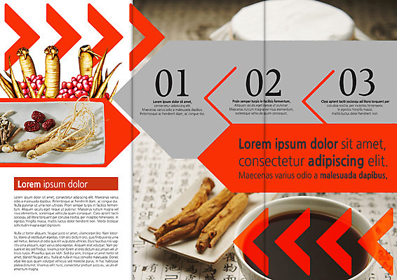 PSD 템플릿 편집 접시 표지디자인 북디자인 출판디자인 내지 음식 리플렛 북커버 3단접지 팜플렛 사람없음 한의학 한약재 대접 인삼 한약 대추 약탕기 홍삼 이미지템플릿 식기 의학 주방용품 약 약재 삼 파일형식