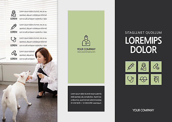 템플릿 편집 표지디자인 북디자인 출판디자인 여자 표지 리플렛 북커버 3단접지 의학 청진기 사람모양 주사기 한명 앉기 팜플렛 성인 30대 알약 한국인 하트 의사가운 개 맥박 링거 동물병원 수의사 이미지템플릿 AI파일 모양 1 포유류 의료기기 모션 병원 사람 동양인 장년 약 의사 가운 파일형식 벡터