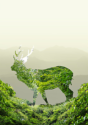 PSD 나무 동물 편집 편집이미지 한마리 실루엣 야생동물 자연 사슴 사람없음 이미지편집 식물 1 포유류 촬영기법 생태계 파일형식