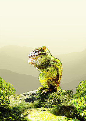 PSD 나무 동물 편집 편집이미지 한마리 실루엣 야생동물 자연 사람없음 다람쥐 이미지편집 식물 1 촬영기법 설치류 생태계 파일형식