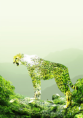 PSD 나무 동물 편집 편집이미지 한마리 실루엣 야생동물 자연 사람없음 치타 이미지편집 식물 1 포유류 촬영기법 생태계 파일형식