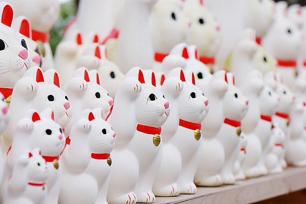 포토 JPG 인형 사람없음 아웃포커스 장식 일본 고양이 오브젝트 고양이인형 마네키네코 반려 국내포토 아시아 포유류 촬영기법 반려동물 일본전통 파일형식