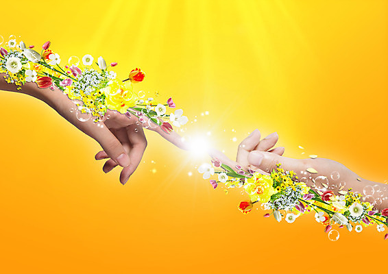 PSD 편집 편집이미지 우먼라이프 손 꽃 손짓 신체부위 뷰티 물방울 이미지편집 식물 라이프스타일 모션 사람 파일형식