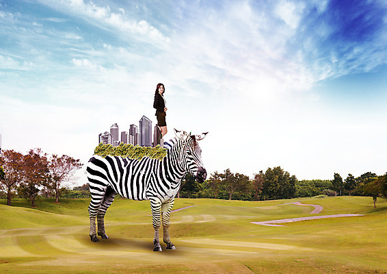 PSD 나무 구름 편집 편집이미지 공원 여자 야생동물 하늘 한명 서기 빌딩 20대 성인 옆모습 한국인 비즈니스우먼 얼룩말 이미지편집 자연요소 식물 동물 1 공공시설 뷰포인트 비즈니스 모션 사람 동양인 청년 건물 말_동물 직장인 파일형식