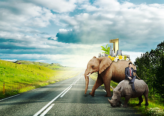 전신 PSD 구름 편집 편집이미지 1 남자 꽃 도로 야생동물 하늘 코끼리 한명 앉기 손짓 빌딩 성인 30대 한국인 다리꼬기 비즈니스맨 코뿔소 이미지편집 자연요소 식물 동물 길 비즈니스 포유류 교통시설 모션 사람 동양인 건물 장년 직장인 파일형식