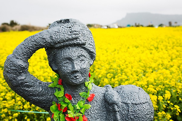 포토 JPG 주간 꽃 사람없음 야외 동상 제주도 봄 유채 유채밭 국내포토 자연요소 식물 계절 밭 한국 조형물 기념물 파일형식