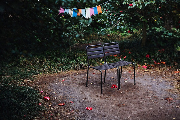 포토 JPG 주간 꽃 의자 사람없음 야외 제주도 동백 동백나무 휴식처 국내포토 자연요소 나무 식물 가구 휴식 한국 파일형식