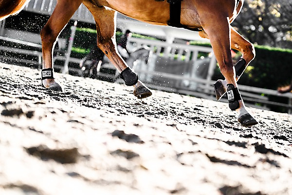포토 JPG 주간 사람없음 야외 아웃포커스 달리기 말_동물 승마 말발굽 국내포토 자연요소 스포츠 포유류 모션 촬영기법 파일형식