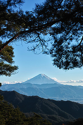 포토 JPG 주간 구름 해외풍경 자연 하늘 산 풍경 사람없음 야외 일본 소나무 후지산 국내포토 자연요소 나무 해외 아시아 세계문화유산 생태계 파일형식