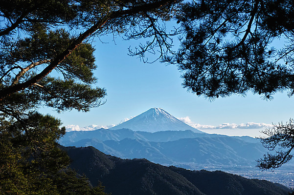 포토 JPG 주간 구름 해외풍경 자연 하늘 산 사람없음 야외 일본 소나무 후지산 국내포토 자연요소 나무 해외 아시아 풍경 세계문화유산 생태계 파일형식