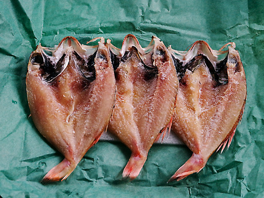 포토 JPG 식재료 건조 어류 사람없음 해산물 일렬 건어물 초록배경 국내포토 백그라운드 초록색 수중동물 파일형식