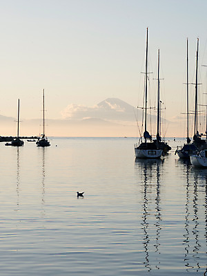 포토 JPG 주간 해외풍경 바다 갈매기 하늘 사람없음 야외 항구 일본 일몰 선박 국내포토 자연요소 해외 아시아 수상교통 교통시설 조류 풍경 노을 파일형식