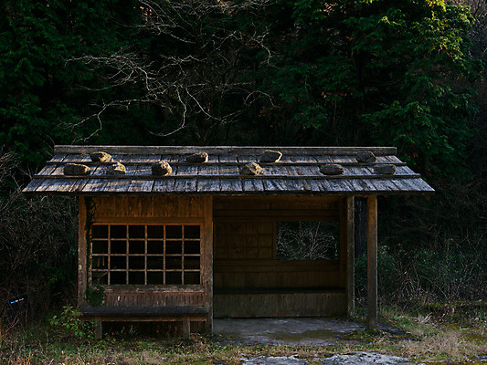 포토 JPG 주간 나무 해외풍경 건축물 고건축 사람없음 야외 일본 빈티지 일본건축 목조주택 국내포토 자연요소 식물 해외 건축 아시아 컨셉 풍경 동양건축 파일형식