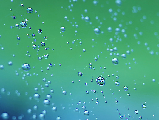 포토 JPG 백그라운드 근접촬영 사람없음 아웃포커스 물방울 비 국내포토 자연요소 뷰포인트 날씨 촬영기법 파일형식