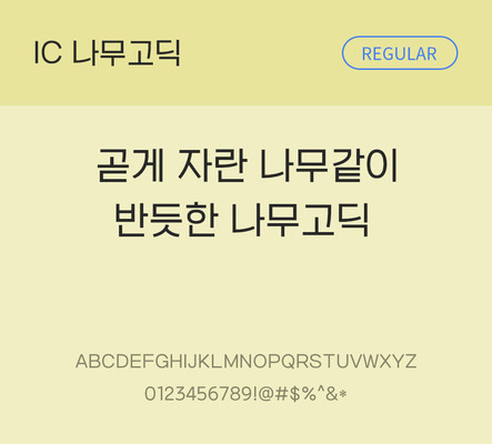 한글 사람없음 OTF TTF 레귤러체 국문폰트 낱개폰트 설치폰트 베이직서체 나무고딕체 문자 폰트 파일형식 IC폰트