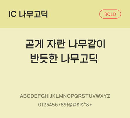 한글 사람없음 OTF TTF 볼드체 국문폰트 낱개폰트 설치폰트 베이직서체 나무고딕체 문자 폰트 파일형식 IC폰트